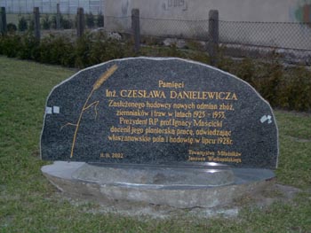  Pomnik pamięci inż. Cz. Danielewicza zasłużonego hodowcy nowych odmian zbóż, ziemniaków i traw w latach 1925 - 1955