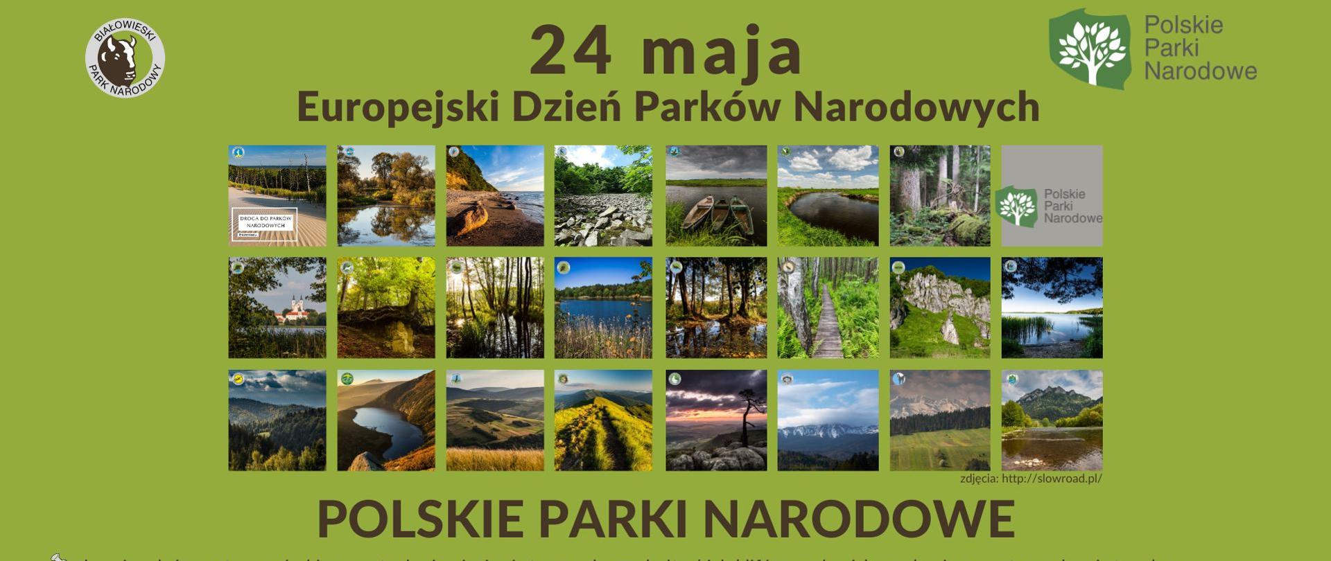 Na zielonym tle miniatury 24 kwadratowych zdjęć, przedstawiających krajobraz z polskich parków narodowych. U góry i dołu napisy: 24 maja Europejski Dzień Parków Narodowych, Polskie Parki Narodowe - chronimy leśne ostępy, górskie szczyty, krainę jezior i strome zbocza bałtyckich klifów, rozlewiska rzek, piaszczyste wydmy i stare lasy; jest nas 23 i mimo, że chronimy najpiękniejsze najbardziej wartościowe obszary przyrodnicze, zajmujemy tylko 1% powierzchni kraju; zapraszamy na spotkanie z parkowcami - ludźmi, którzy na co dzień opiekują się przyrodą w parkach: 24 maja 2024, godz. 18.00 do dyrekcji Białowieskiego Parku Narodowego