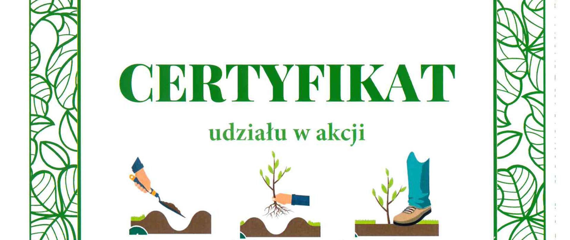 Certyfikat udziału w akcji Sadzenie lasu