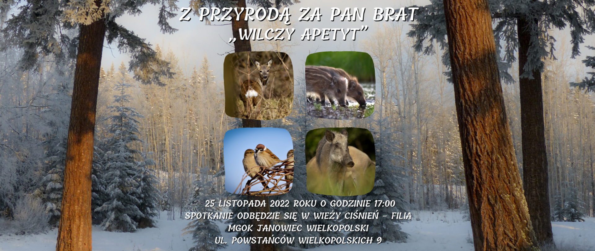 banner wydarzenia Z PRZYRODĄ ZA PAN BRAT - „WILCZY APETYT” które odbędzie się dnia 25 listopada 2022 roku o godzinie 17:00 w Wieży Ciśnień w Janowcu Wielkopolskim.