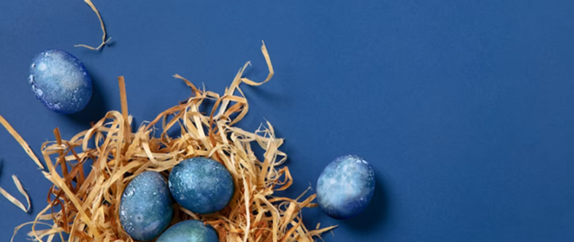 Zdjęcie przedstawia ułożone na niebieskim tle trociny oraz niebieskie jajka.