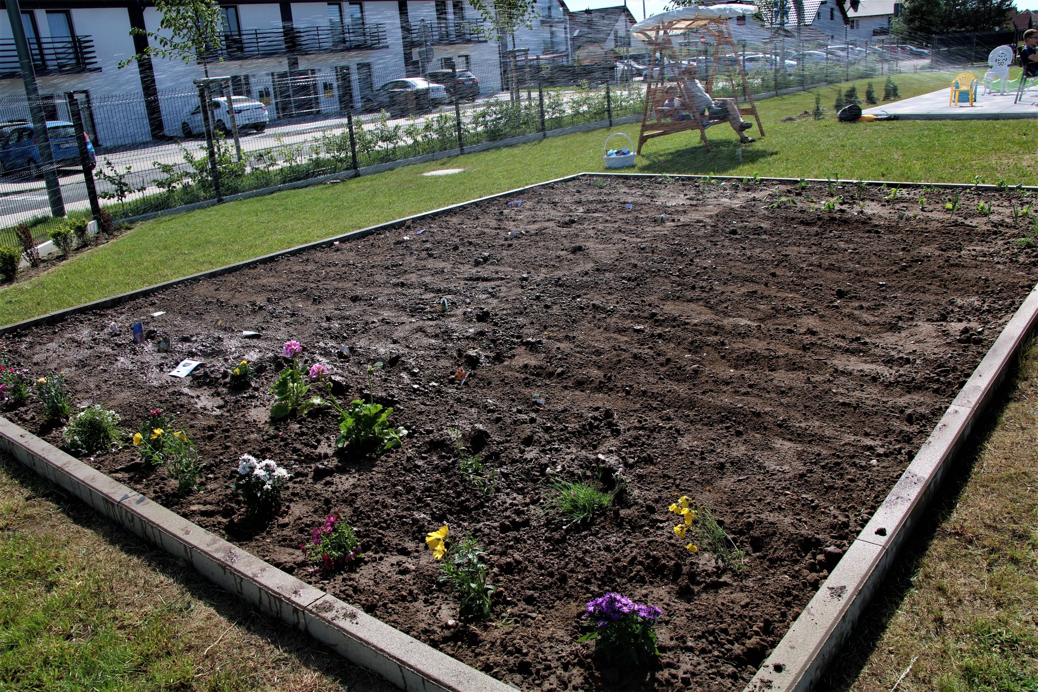 Ogród z kwiatami i sadzonkami przy domu dla dzieci w Polkowicach