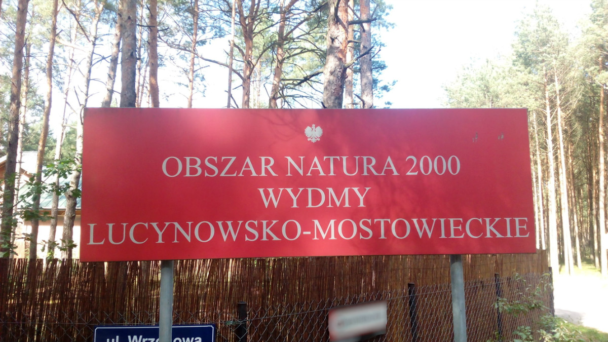 Czerwona tablica z tekstem: OBSZAR NATURA 2000 Wydmy Lucynowsko-Mostowieckie