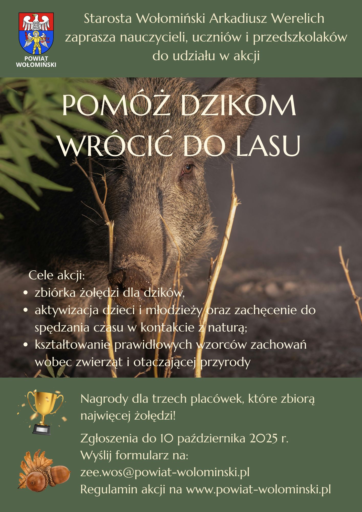 Pomóż dzikom wrócic do lasu