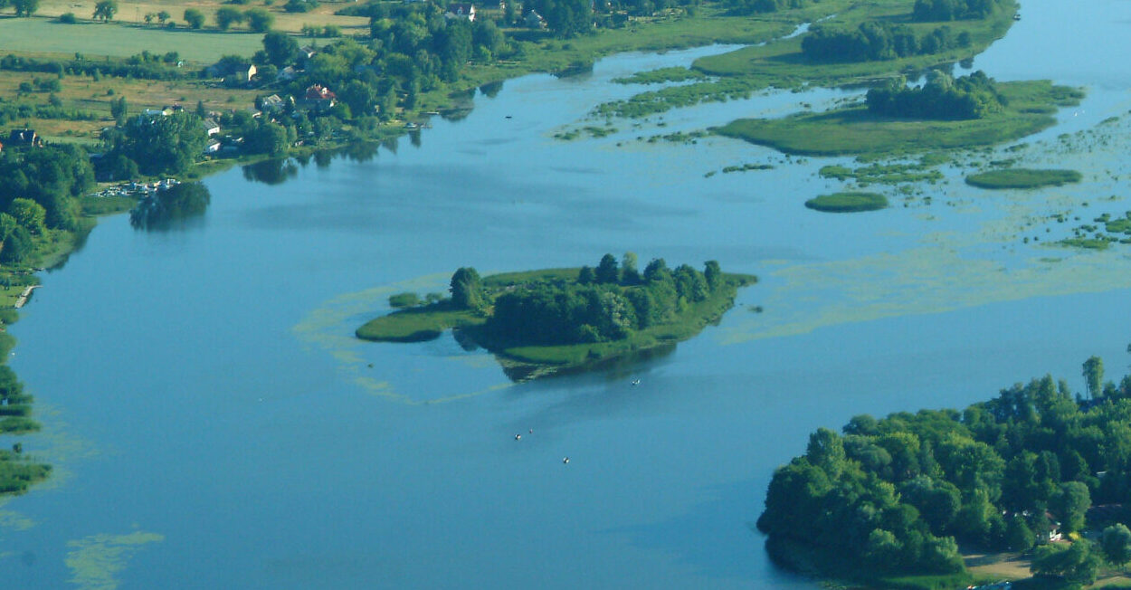 Dzierżenińska Kępa zwana Ptasią Wyspą
