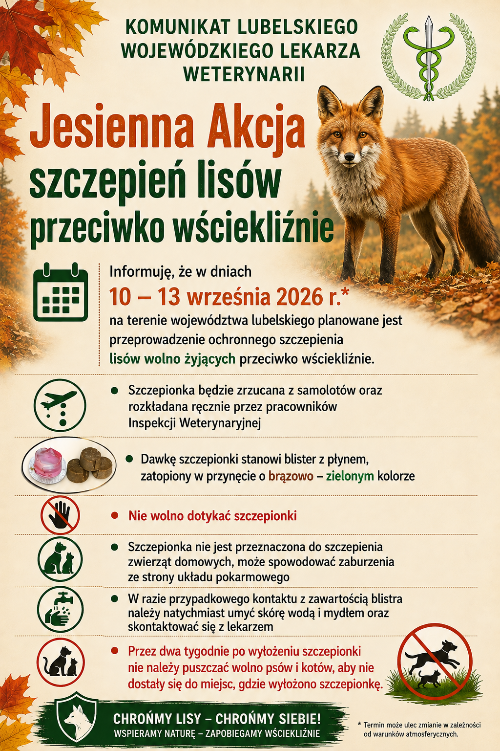 szczepienia lisów