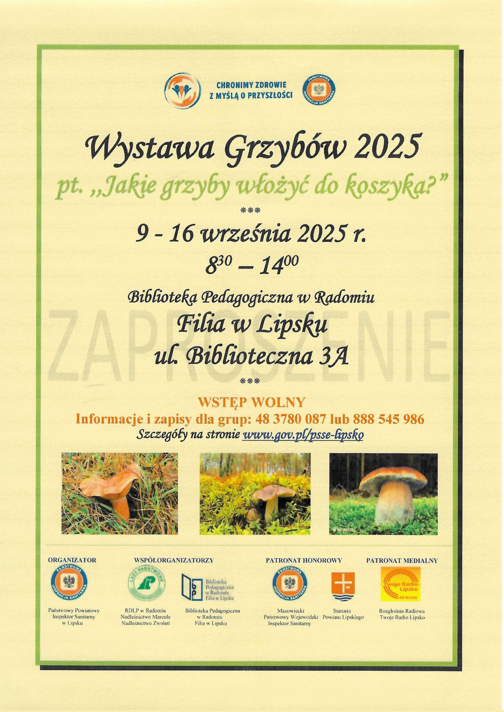 wystawa