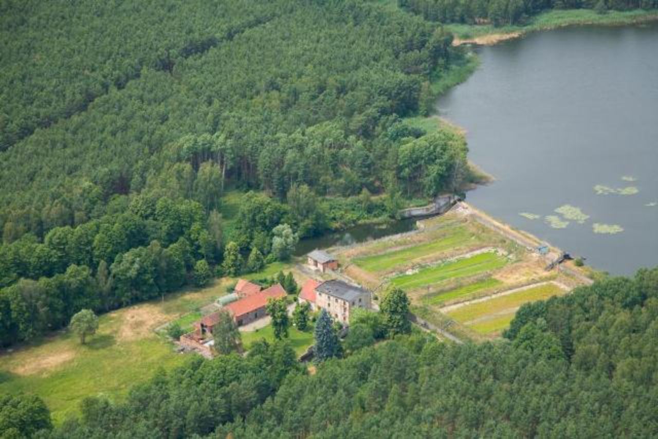 Budynek młyna pochodzący z 1911 roku. Jest to trzykondygnacyjny obiekt z dwuspadowym dachem krytym papą ze względu na niski kąt nachylenia. Elewacje tynkowane, czteroosiowe, podłużne pozbawione detalu architektonicznego. Elewację wzbogaca jedynie pozorny ryzalit. Obecnie obiekt pełni funkcję elektrowni. Wewnątrz obiektu zachowały się z lat 20-30 XX wieku wystrój i wyposażenie obiektu.