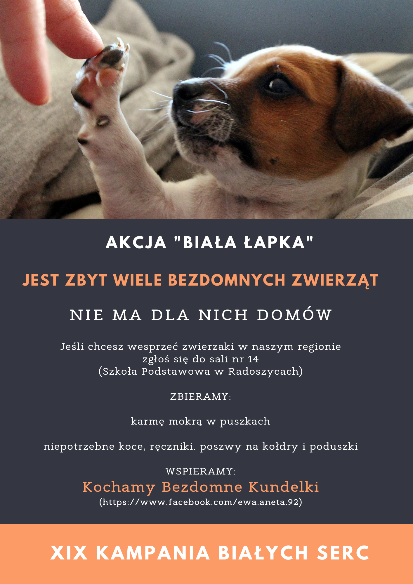 plakat