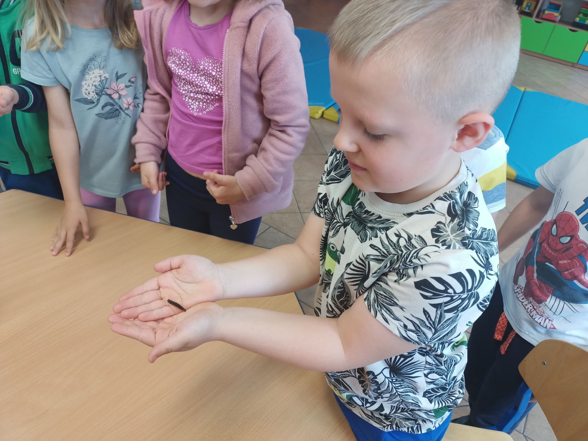 Chłopiec trzyma gąsienicę na rękach
