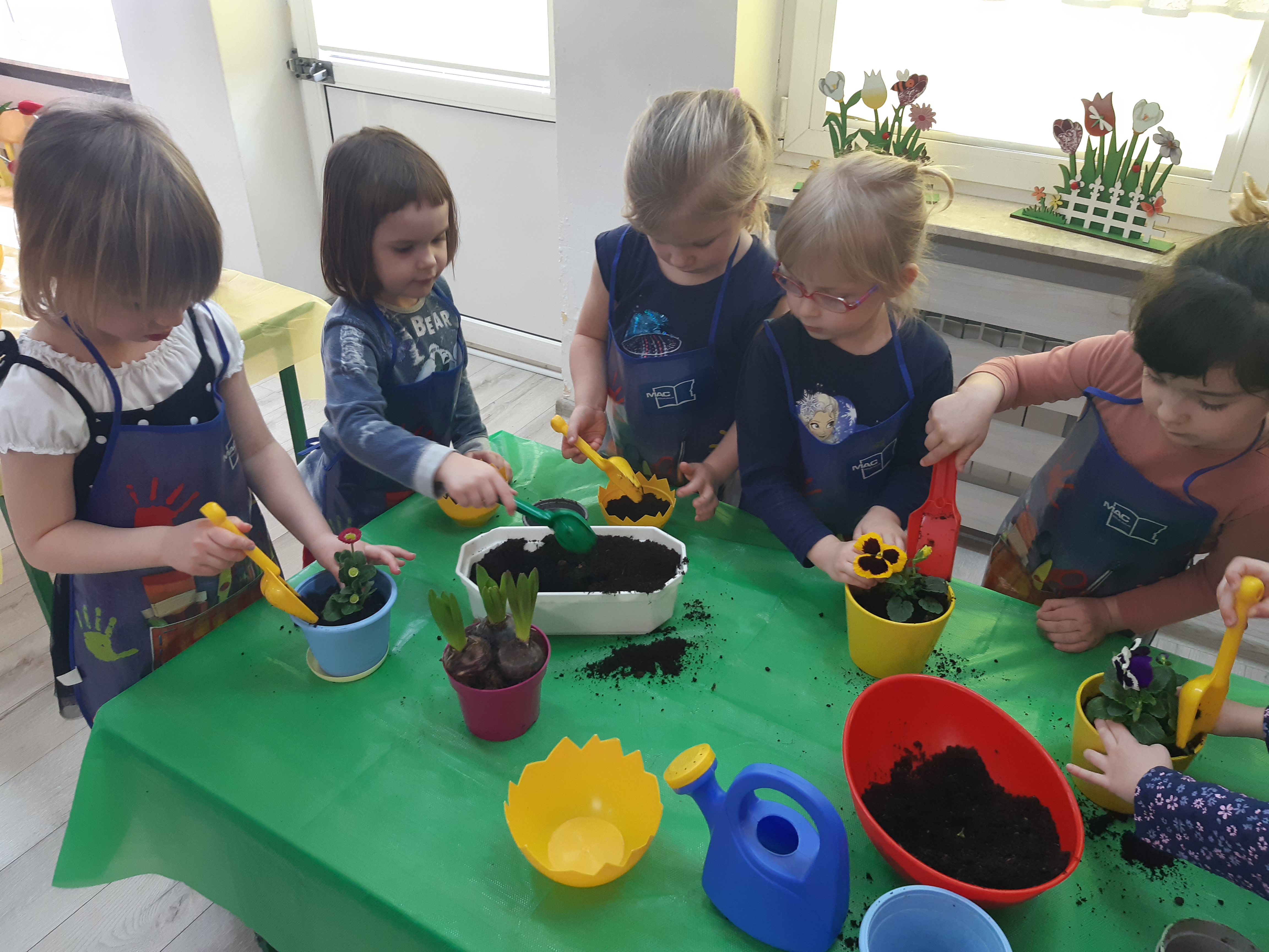 Dzieci zasypują ziemią cebulki kwiatów w doniczkach