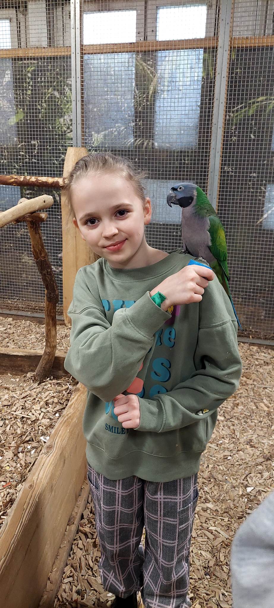 Zdjęcie przedstawia dziewczynkę, która trzyma w ręku pojeminczek z nasionami, a na rameniu siedzi zielono-szara papuga. 