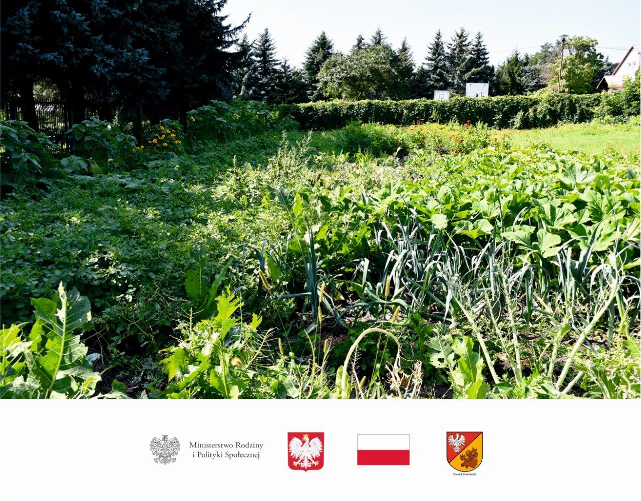 Spotkanie w DPS w Choroszczy w ramach projektu "Od zależności ku samodzielności - Edycja 2021"
