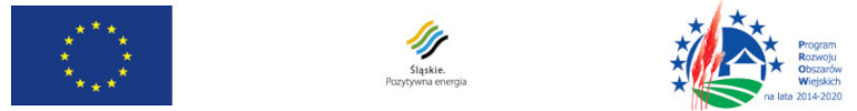 Flaga Unii Europejskiej, logotyp Śląskie. Pozytywna energia, logotyp Program Rozwoju Obszarów Wiejskich na lata 2014-2020