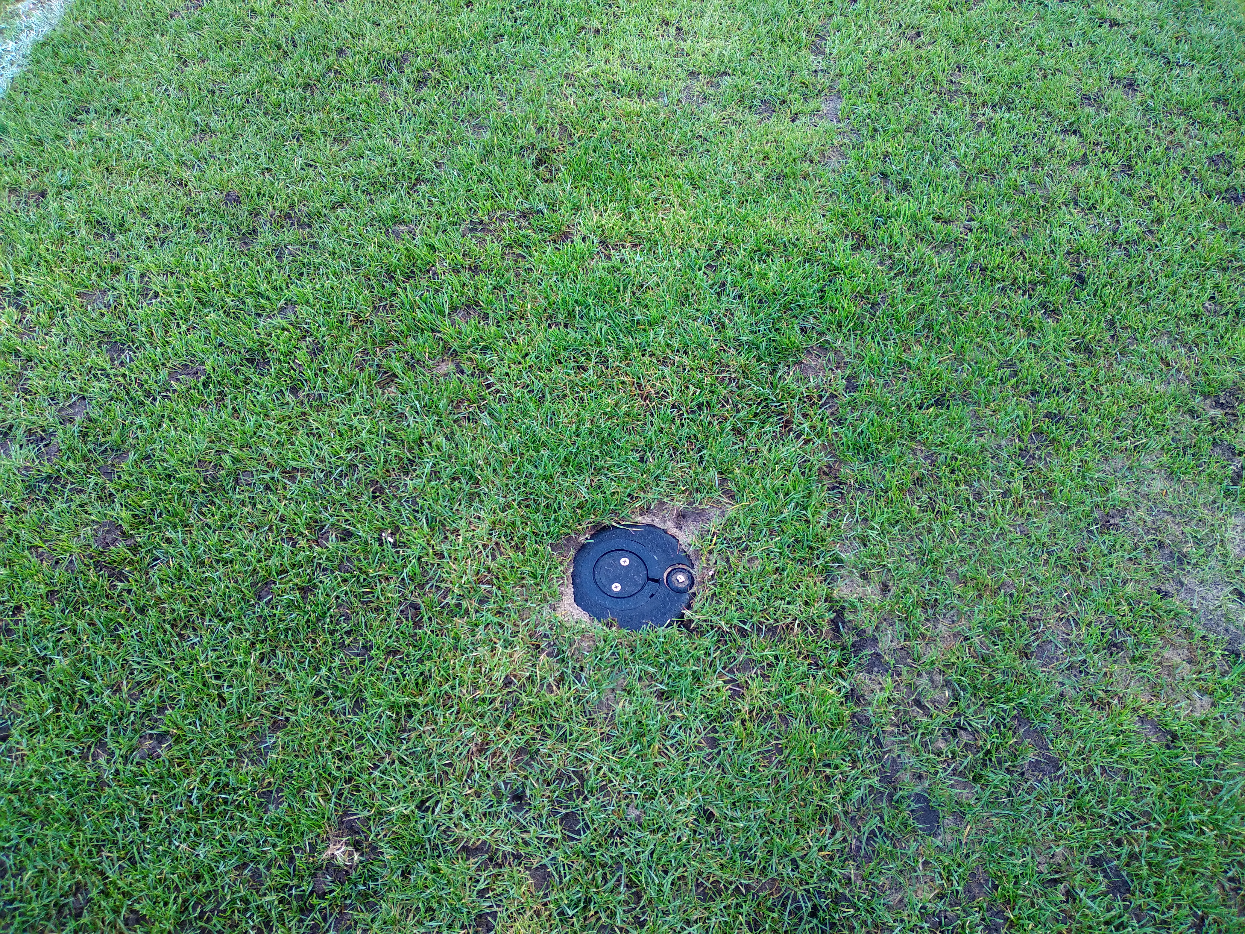 zielony trawnik, na środku zdjęcia czarny okrągły element systemu nawadniania