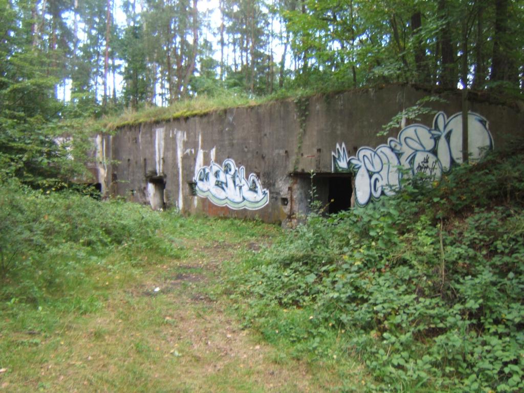 PzW 625, Cibórz