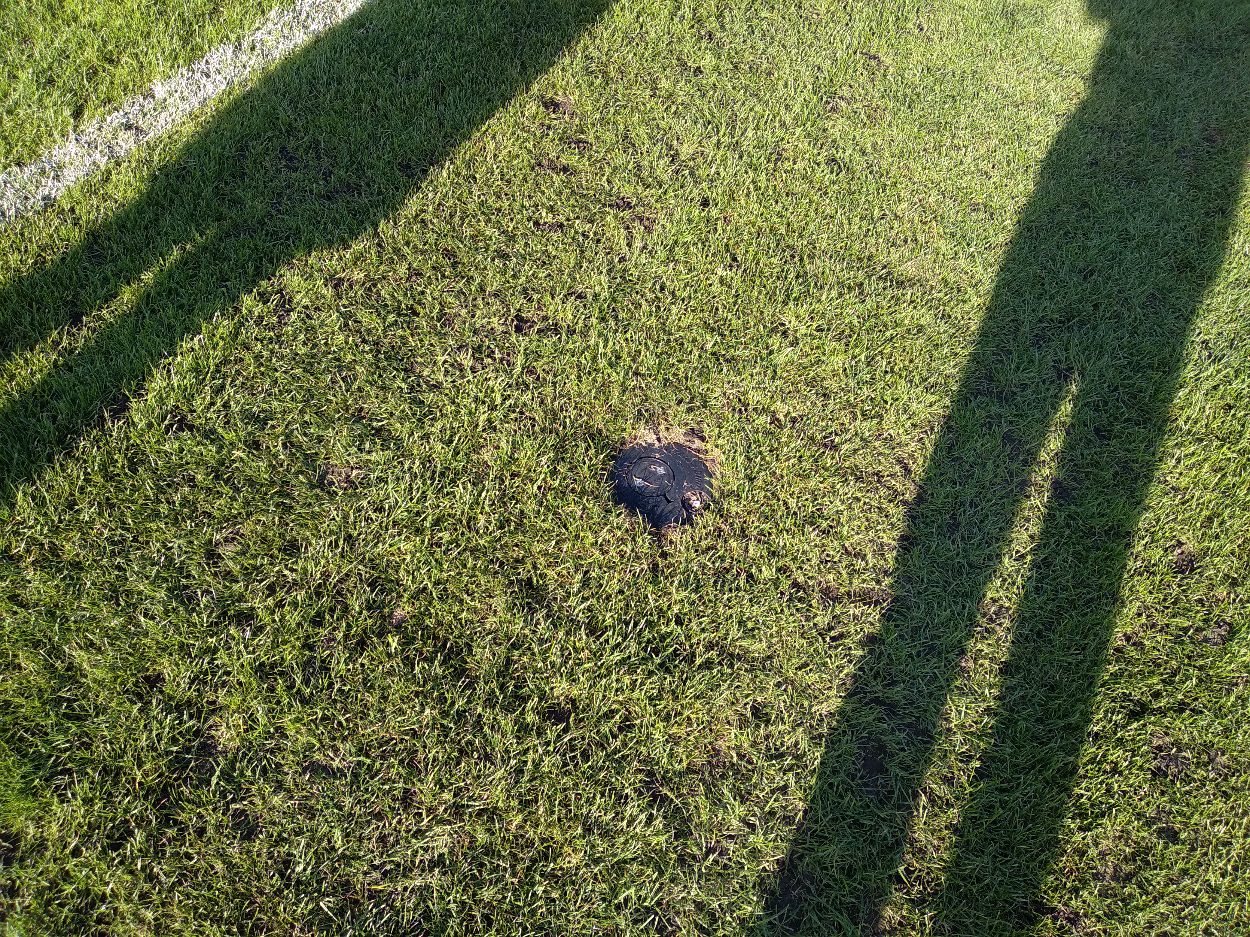 zielony trawnik, cienie dwóch postaci stojących na nim, na środku zdjęcia czarny okrągły element systemu nawadniania