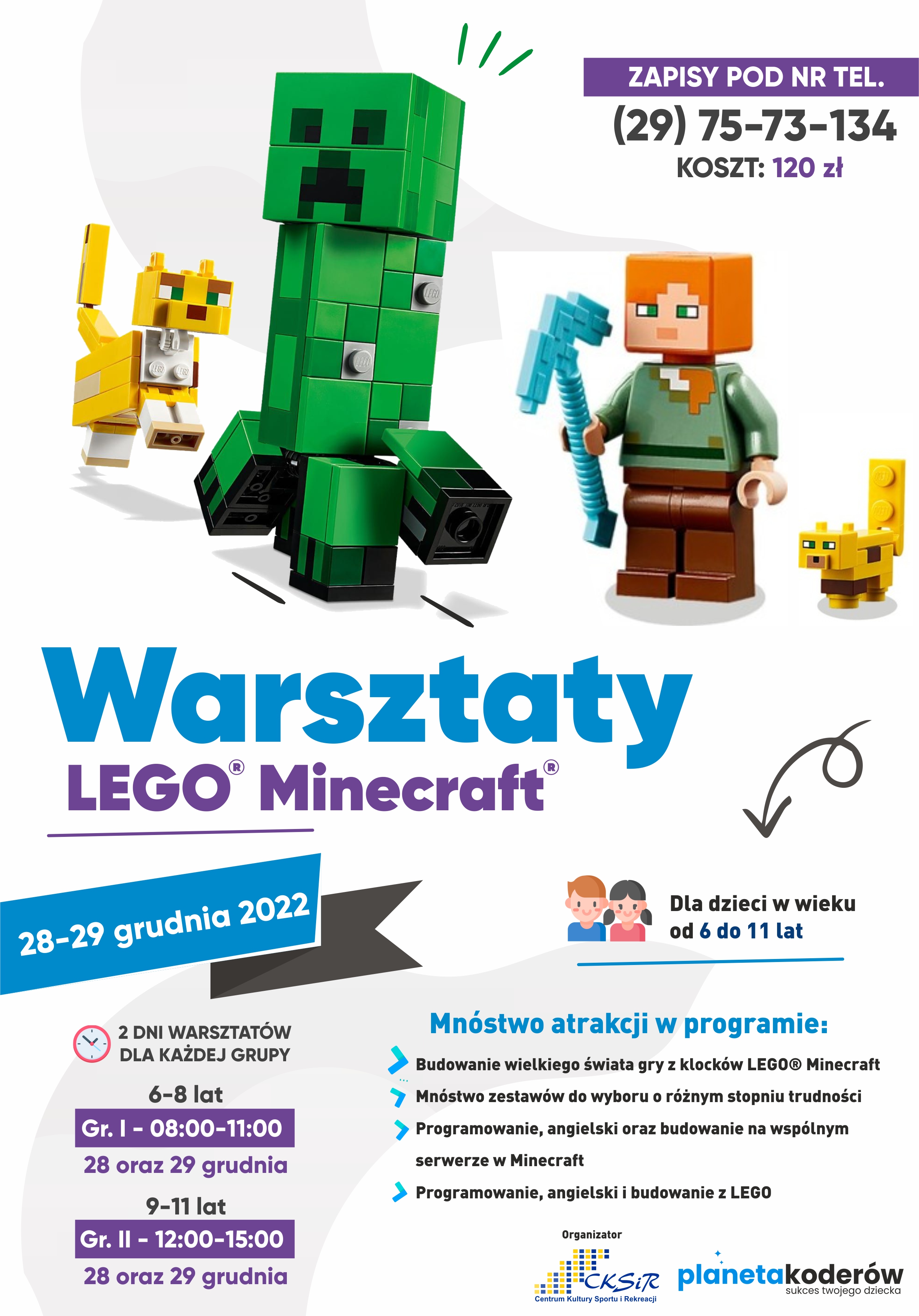 Warsztaty LEGO, Minecraft