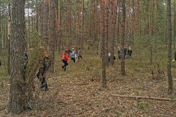 Ludzie chodzący po lesie