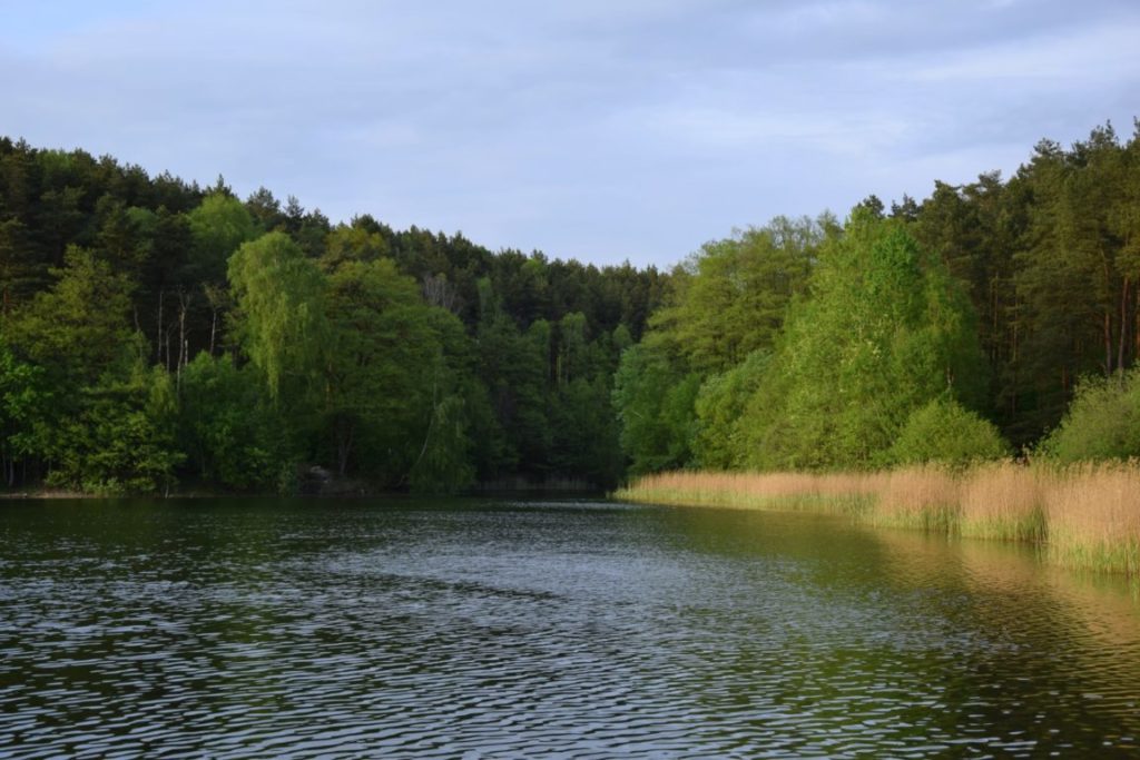 Jezioro Bobrowe