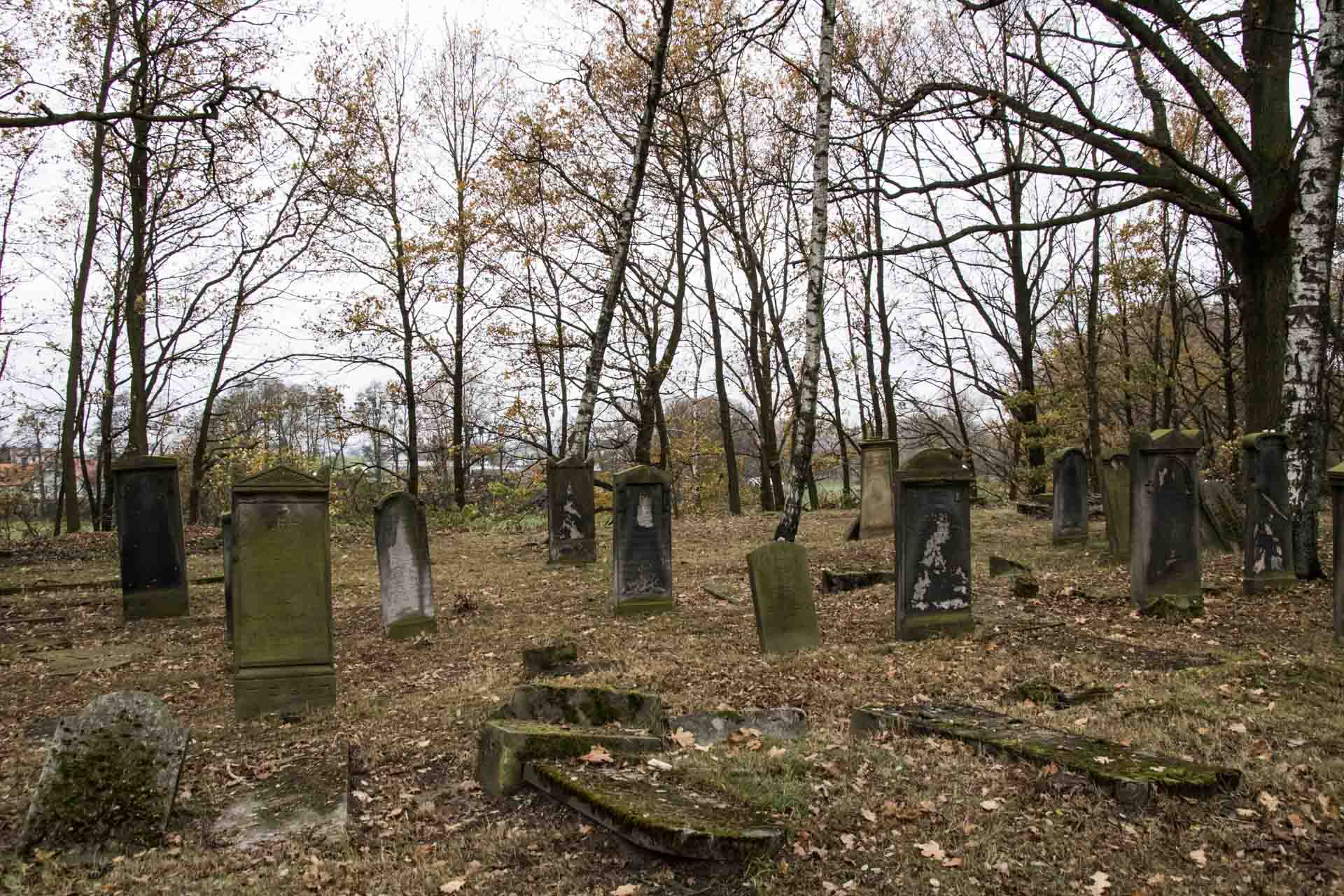 Cmentarz żydowski w Oleśnie