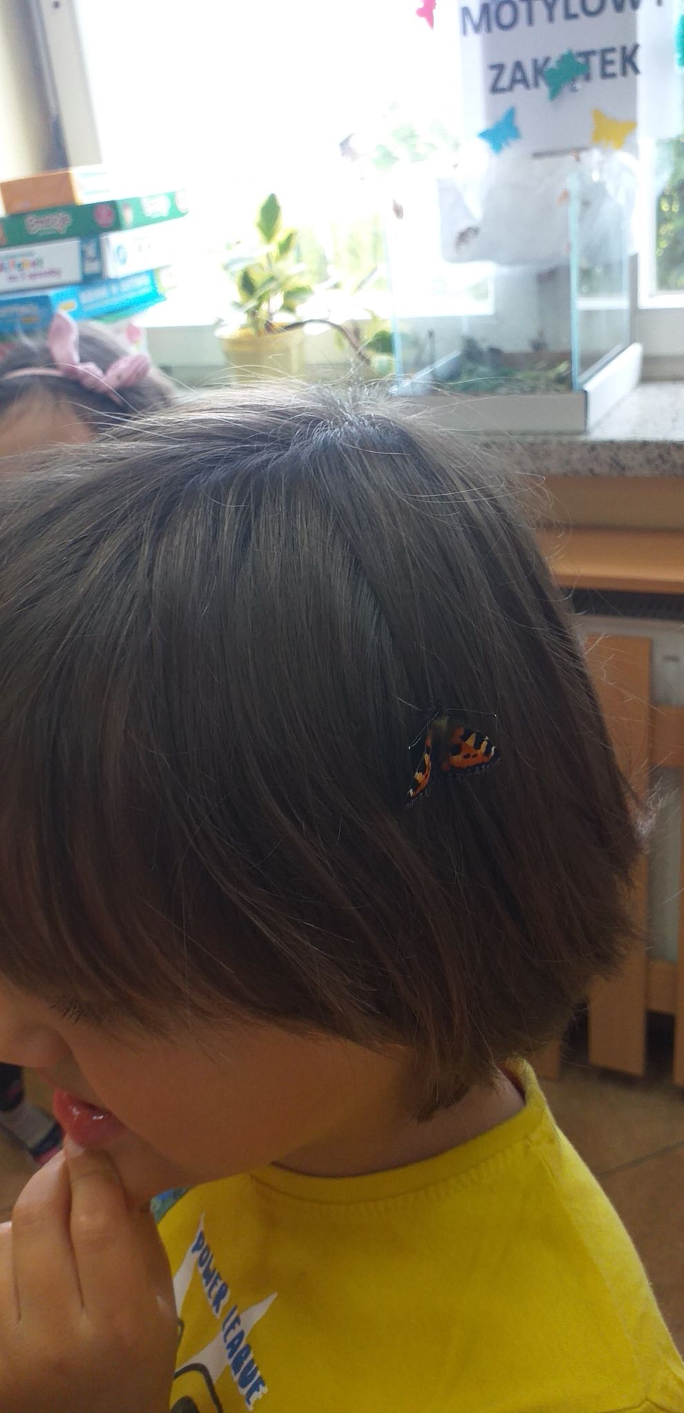 Motyl na włosach dziewczynki