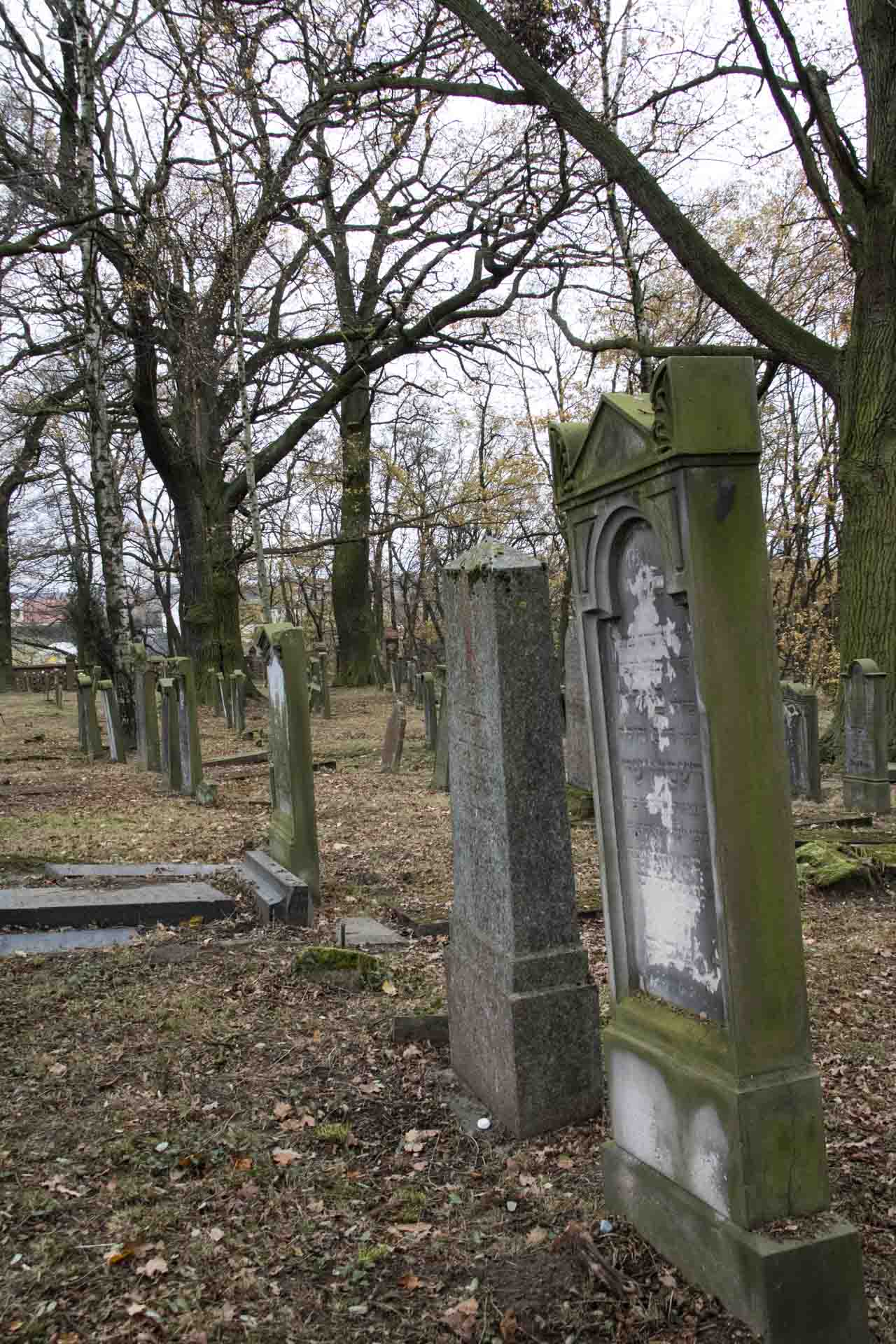 Cmentarz żydowski w Oleśnie