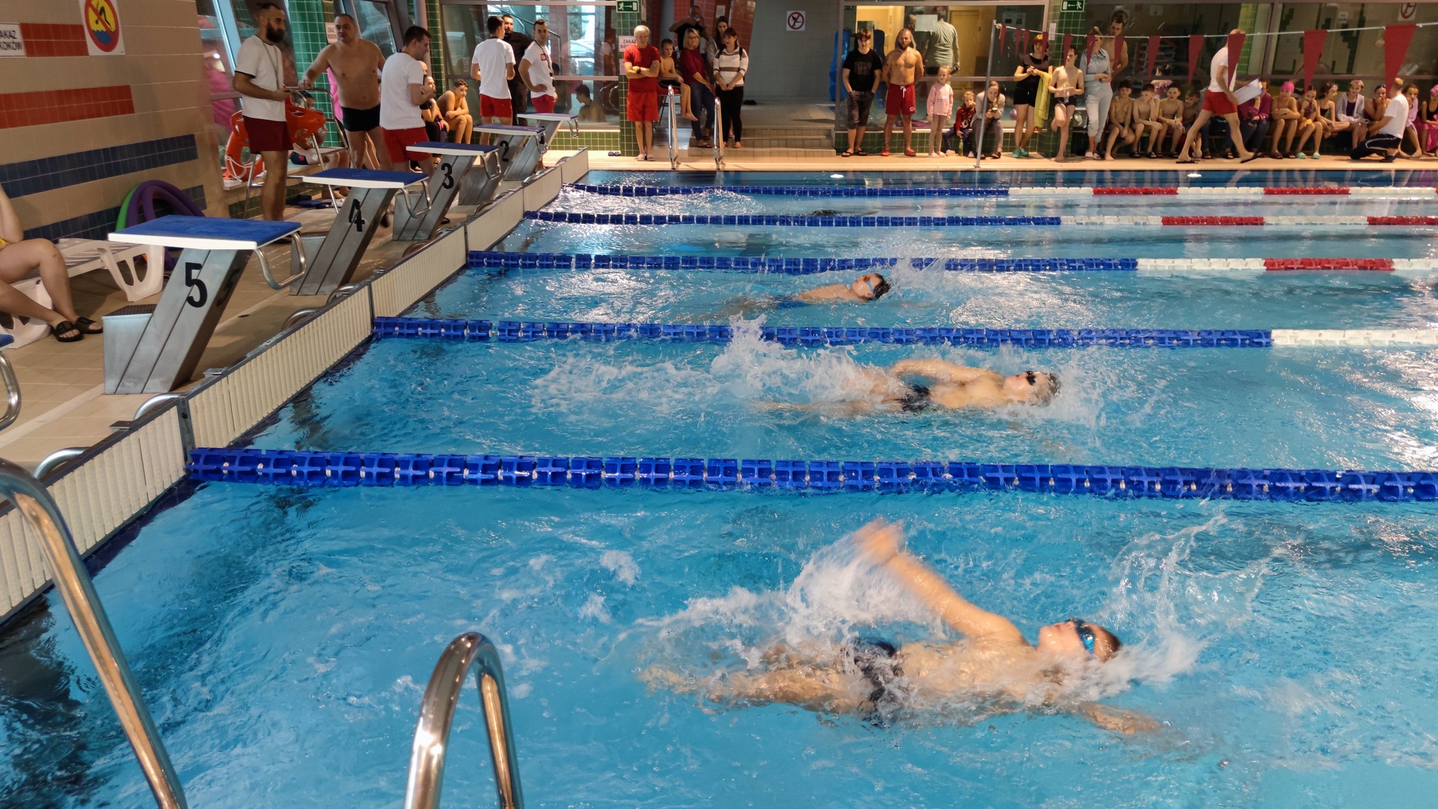 Zdjęcie przedstawia pływaków podczas konkurowania o Puchar Starosty. Nad bezpieczeństwem czuwają ratownicy i sędziowie mierzący czas dla każdego zawodnika.