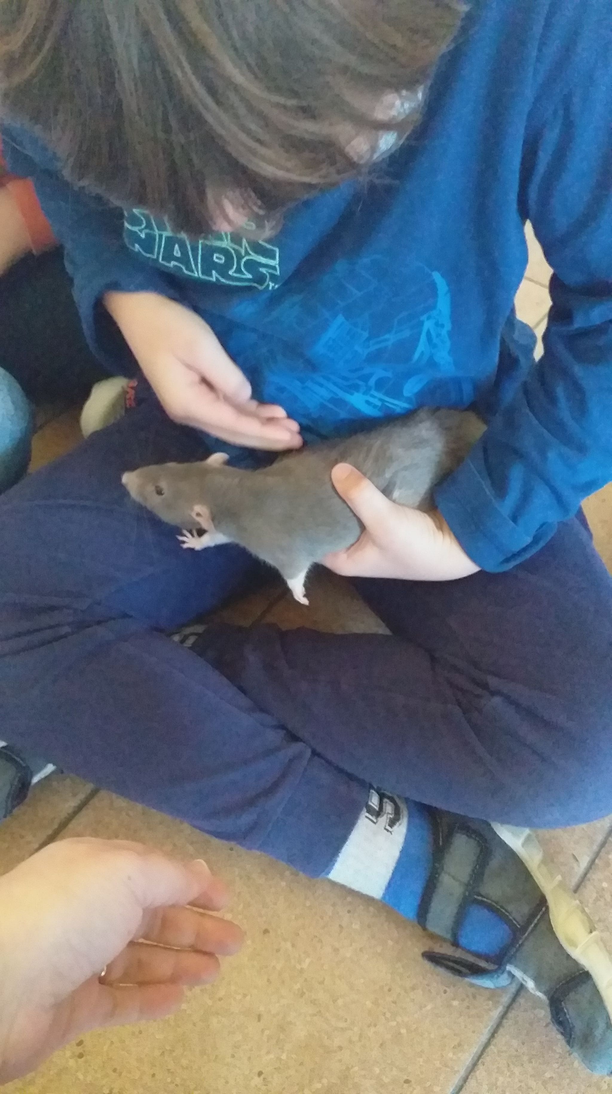 Chłopiec trzyma szczura na rękach
