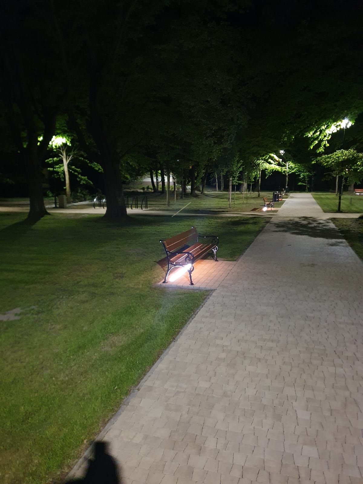 noc, park drzewa i aleje parkowe oświetlone światłem latarni 