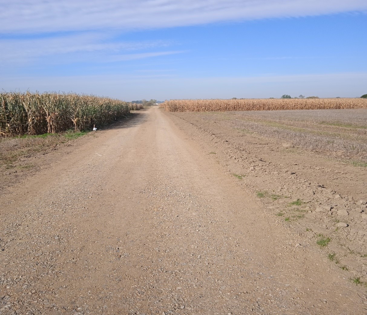 prosty odcinek drogi prowadzący do pol rolnych
