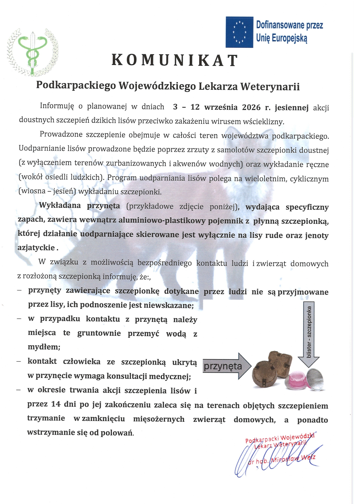Jesienna akcja szczepień dzikich lisów przeciwko zakażeniu wirusem wścieklizny 