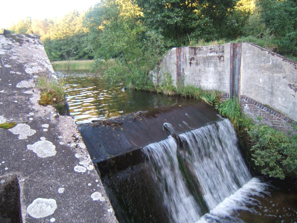 Jaz 608, Rokitnica