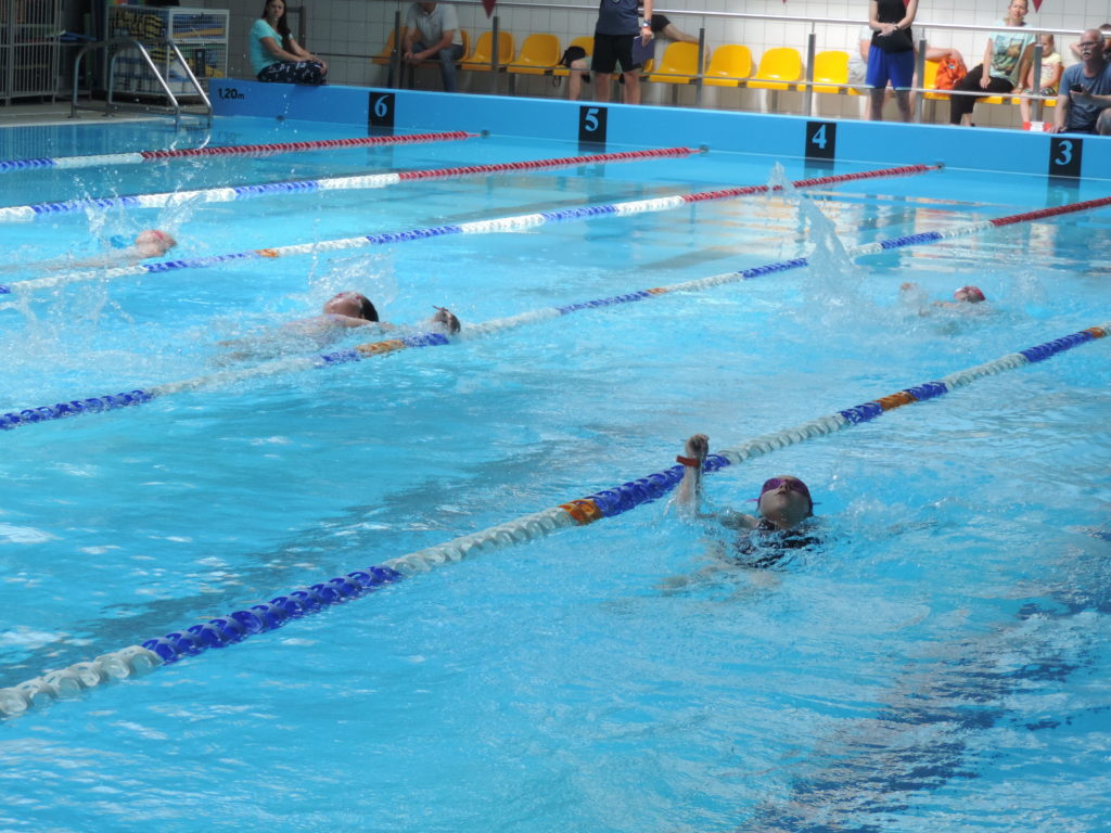 mistrzostwa pływalni