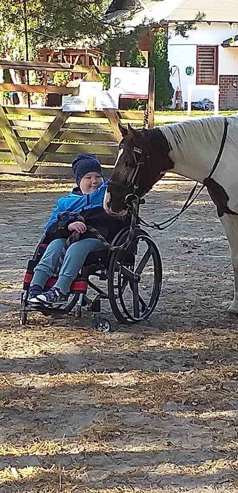 Dziecko na wózku inwalidzkim głaszcze konia