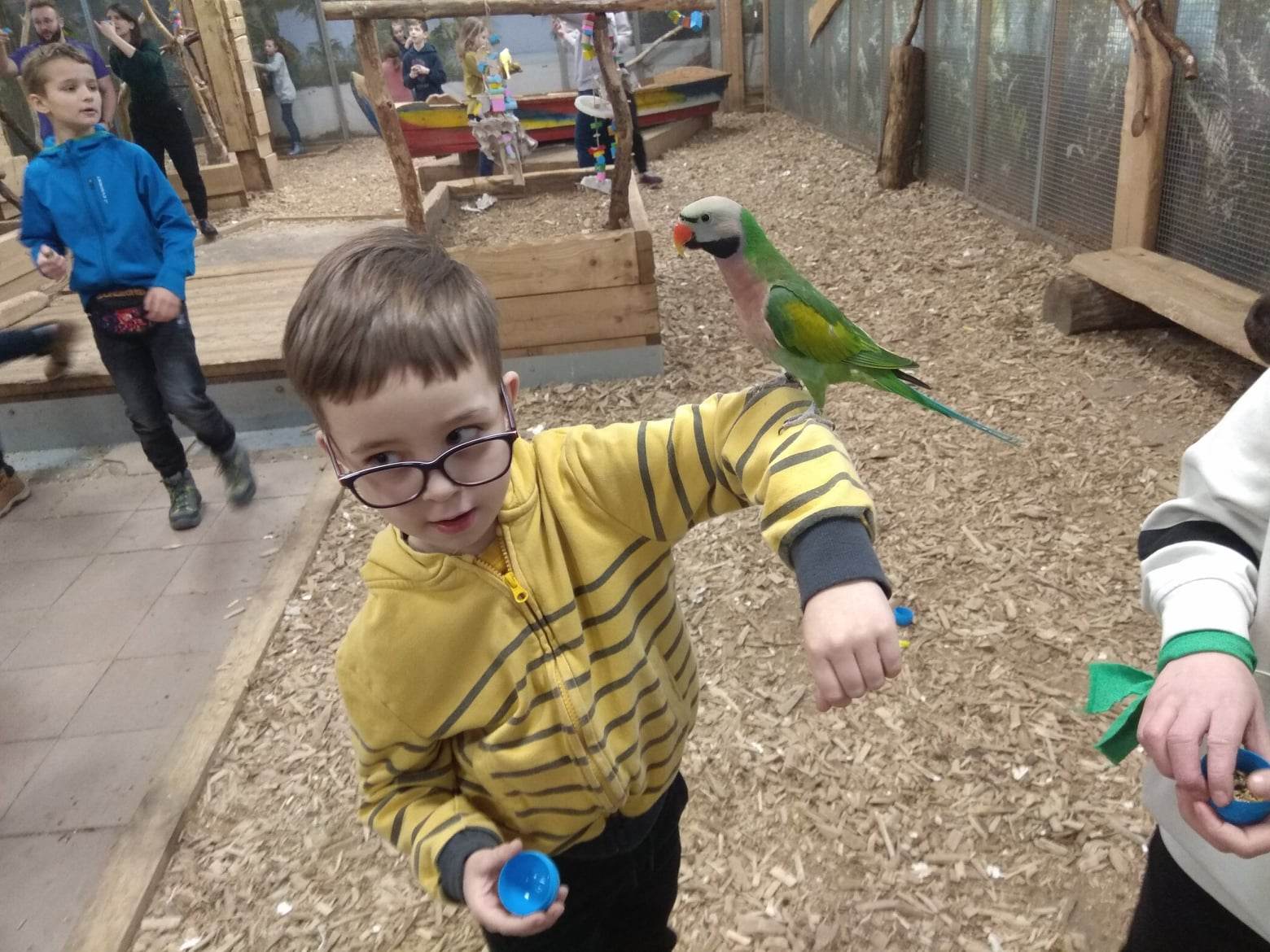 Zdjęcie przedstawia papugę siedzącą do ramieniu chłopca. 