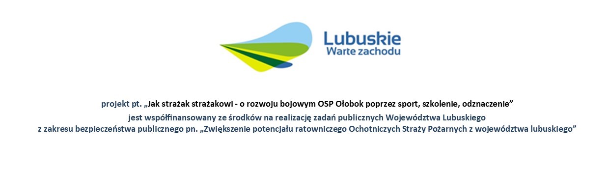 Logo dofinansowania