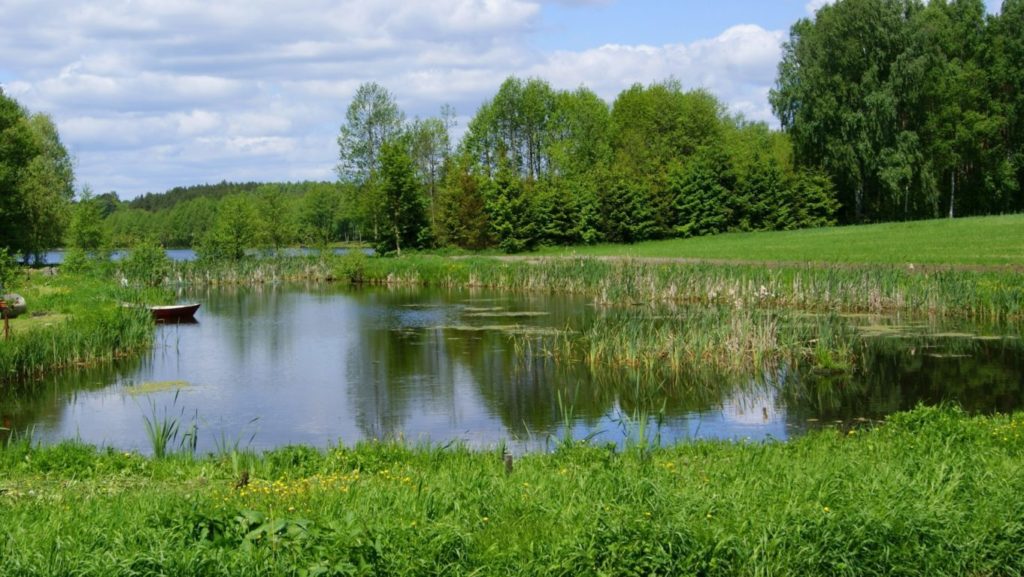 Jezioro obok wsi Brodna