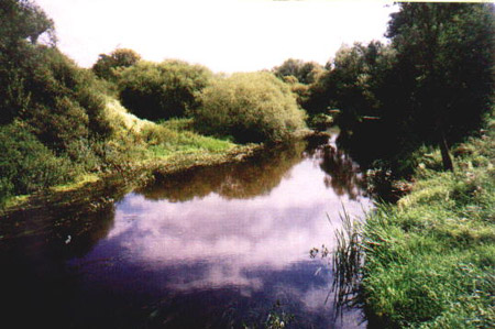 Rzeka Liwiec - okolice Mokobód