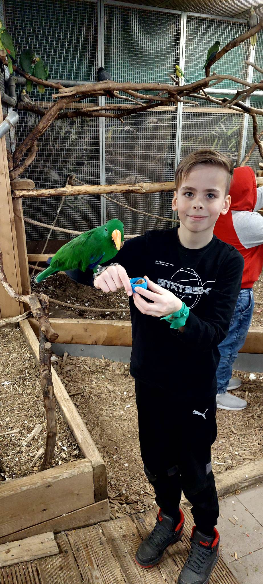 Zdjęcie przedstawia chłopca, któremu na ręcę usiadła piękna papuga o zielonym upierzeniu. 