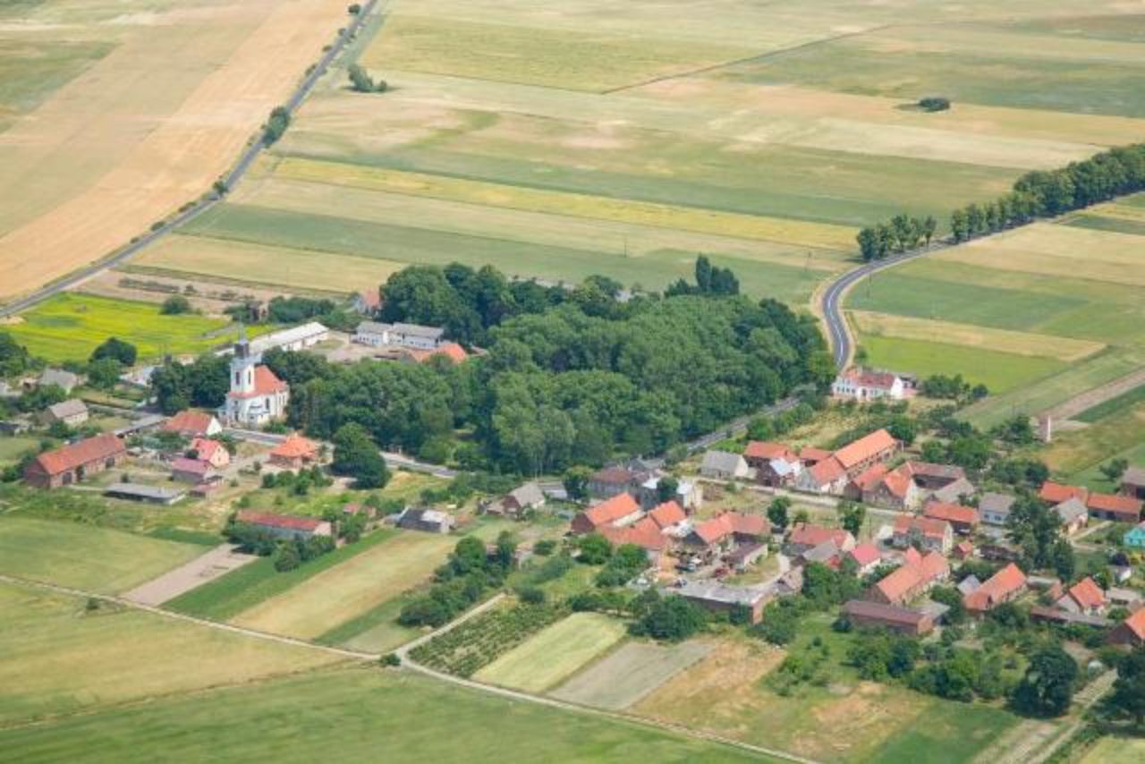 Wieś Pałck leży na południowo-wschodnim skraju Gminy Skąpe, Przez miejscowość przebiega droga wojewódzka nr 277 Skąpe-Sulechów.