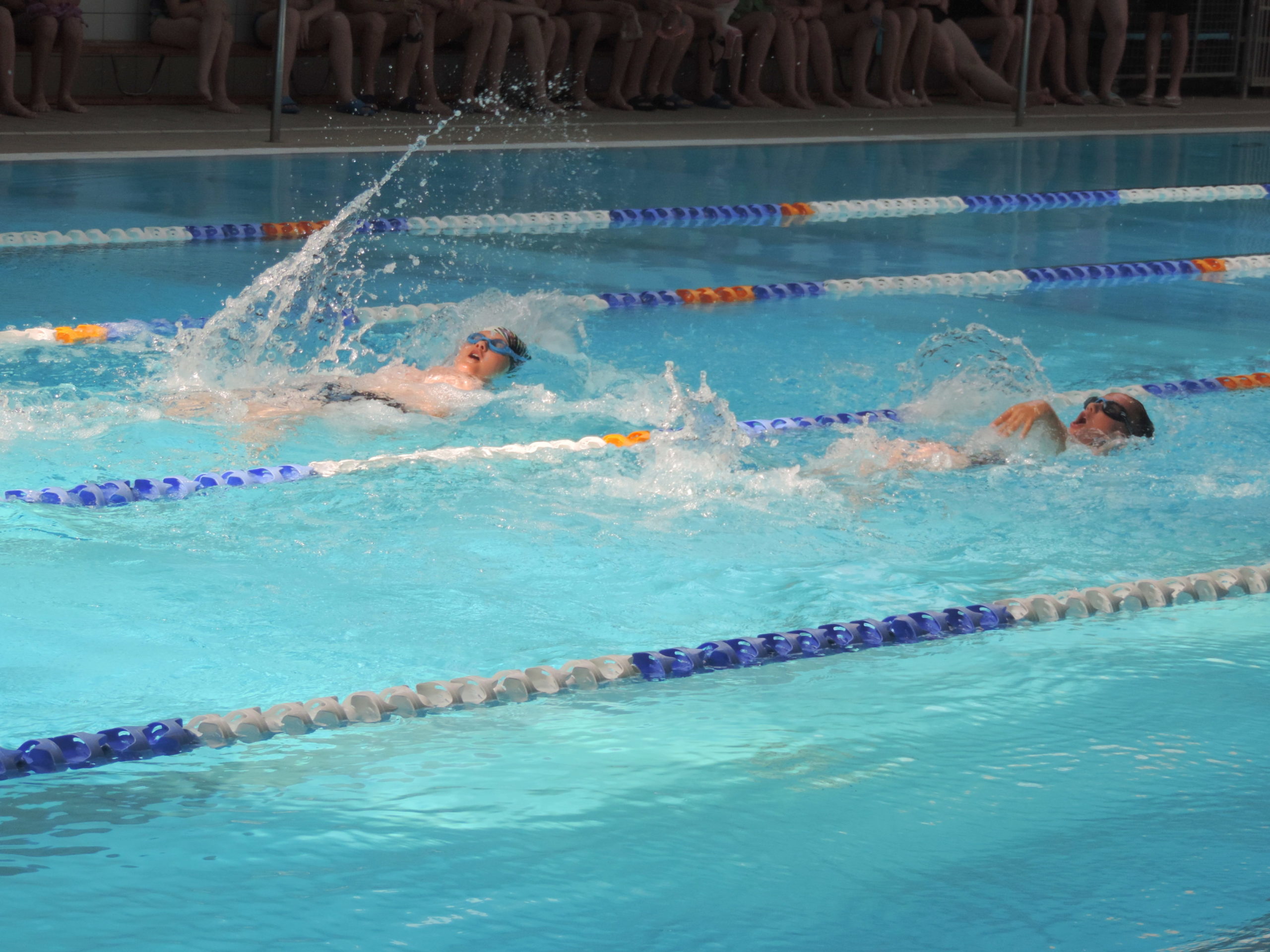 mistrzostwa pływalni