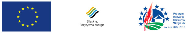 Flaga Unii Europejskiej, logotyp Śląskie. Pozytywna energia, logotyp Program Rozwoju Obszarów Wiejskich na lata 2007-2013