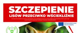Na zdjęciu lis, zdjęcia szczepionek komunikat zgodny z treścią artykułu.