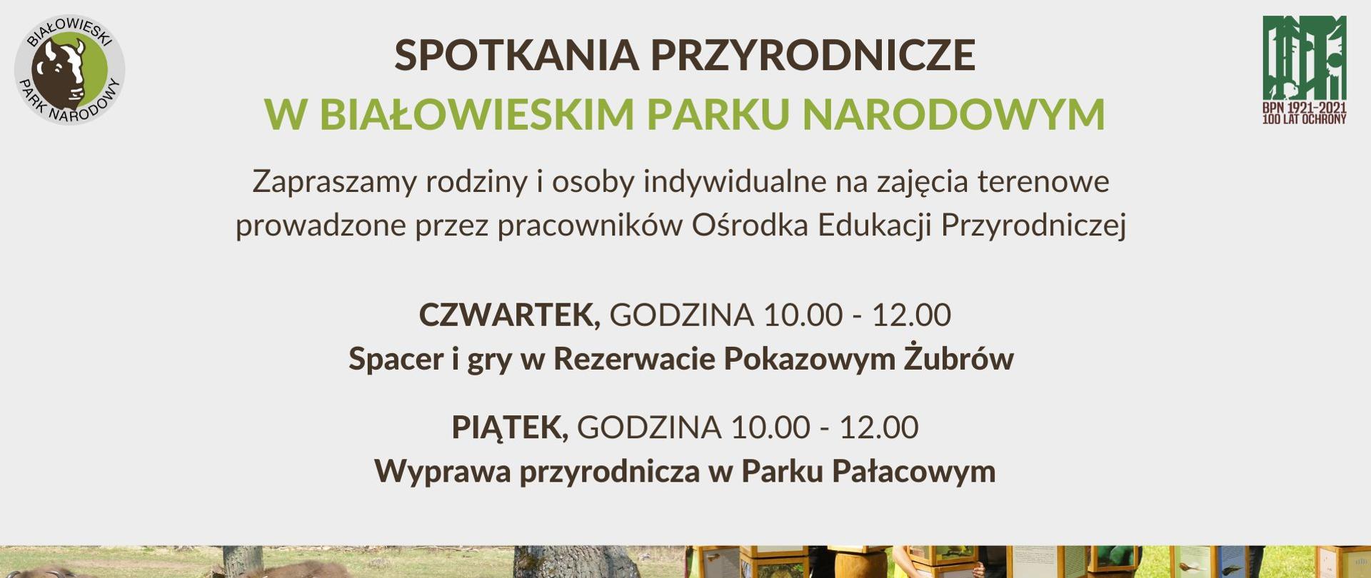 Spotkania przyrodnicze w Białowieskim Parku Narodowym - informacja o terminie i miejscu spotkania