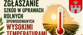 Zgłaszanie szkód w uprawach rolnych spowodowanych wysokimi temperaturami