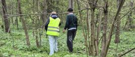 Na zdjęciu widać dwie osoby spacerujące lub pracujące w zalesionym terenie. Idą przez gęsto porośnięty, zielony las liściasty, w którym drzewa są jeszcze częściowo bez liści, co sugeruje wczesną wiosnę.
Jedna z osób ma na sobie jaskrawą, odblaskową kamizelkę, druga ubrana jest ciemniej. Obydwie są odwrócone tyłem do aparatu i wyglądają, jakby uważnie przyglądały się otoczeniu lub szły wyznaczoną trasą.