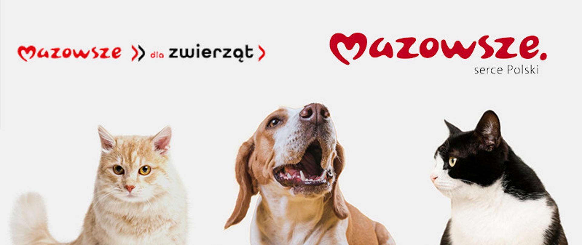 mazowsze dla zwierzat logo psy i koty