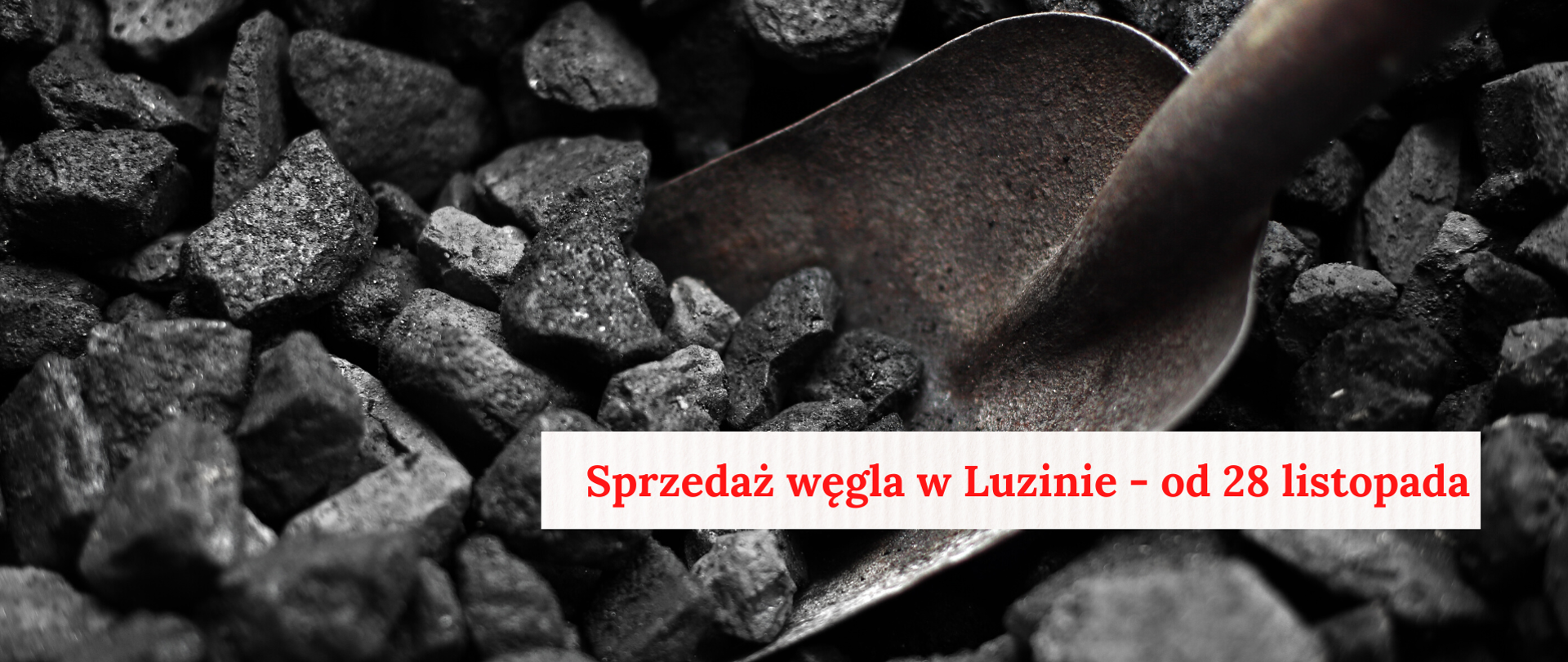sprzedaż węgla