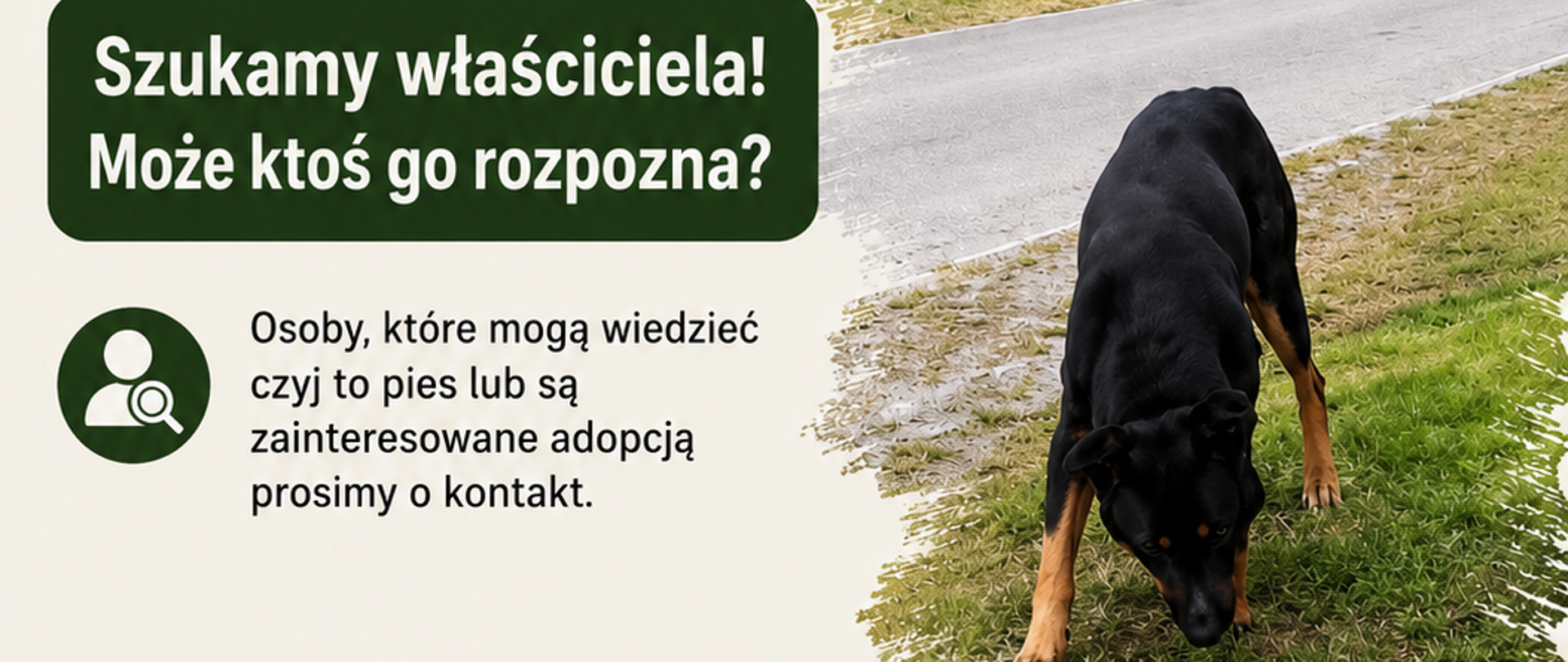 Znaleziono psa. 